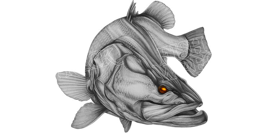 Barramundi Bazza Boat Decals x 2