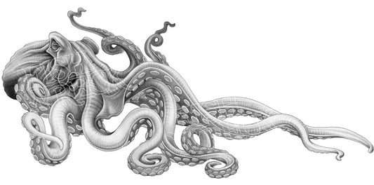 Kraken Octopus Boat Decals x 2