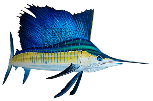 Sailfish Boat Decals x 2