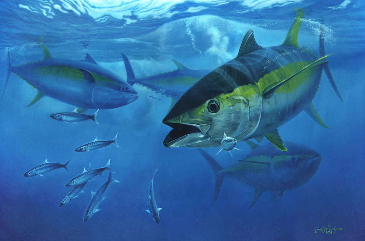 Craig Bertram Smith Yellow Torpedo, Canvas Print Measures 795mm x 1200mm plus outside white border