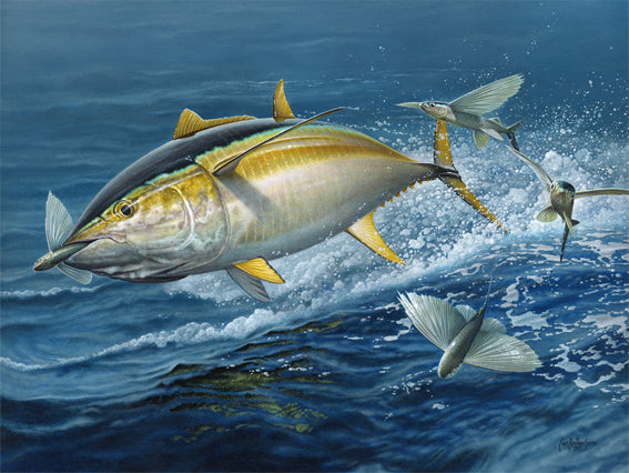 Craig Bertram Smith -Fying Fish, Measures 960mm x 1200mm plus outside white border