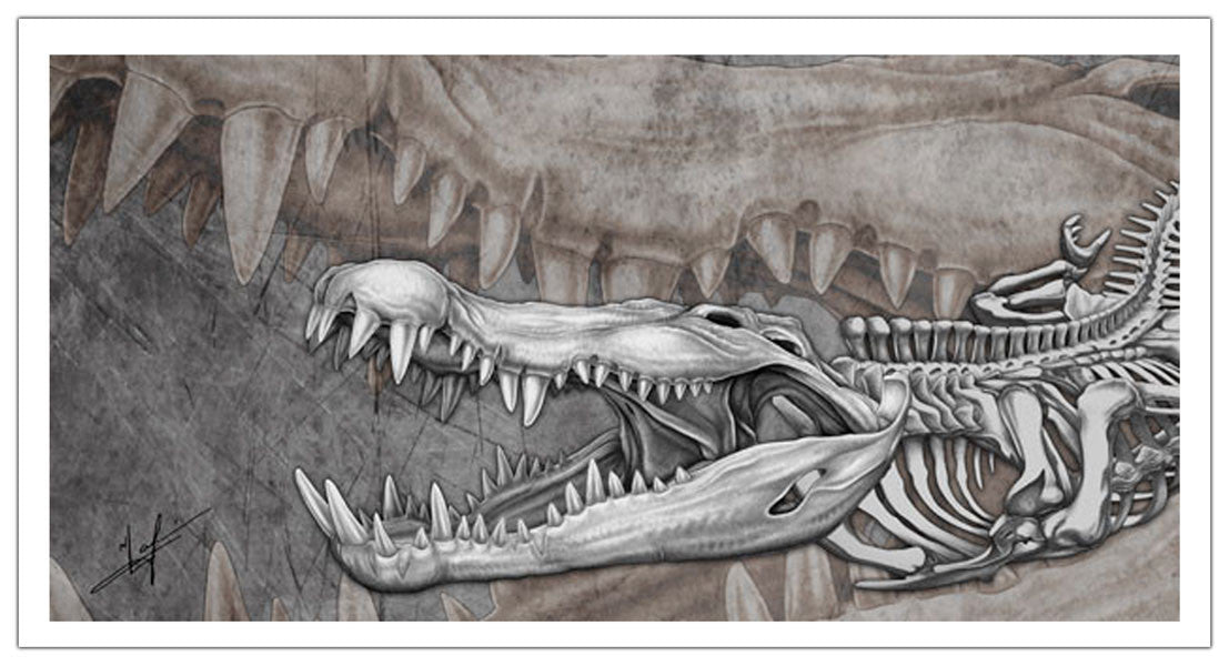 Croc Canvas Print, Measures 1200mm x 600mm plus outside white boarder
