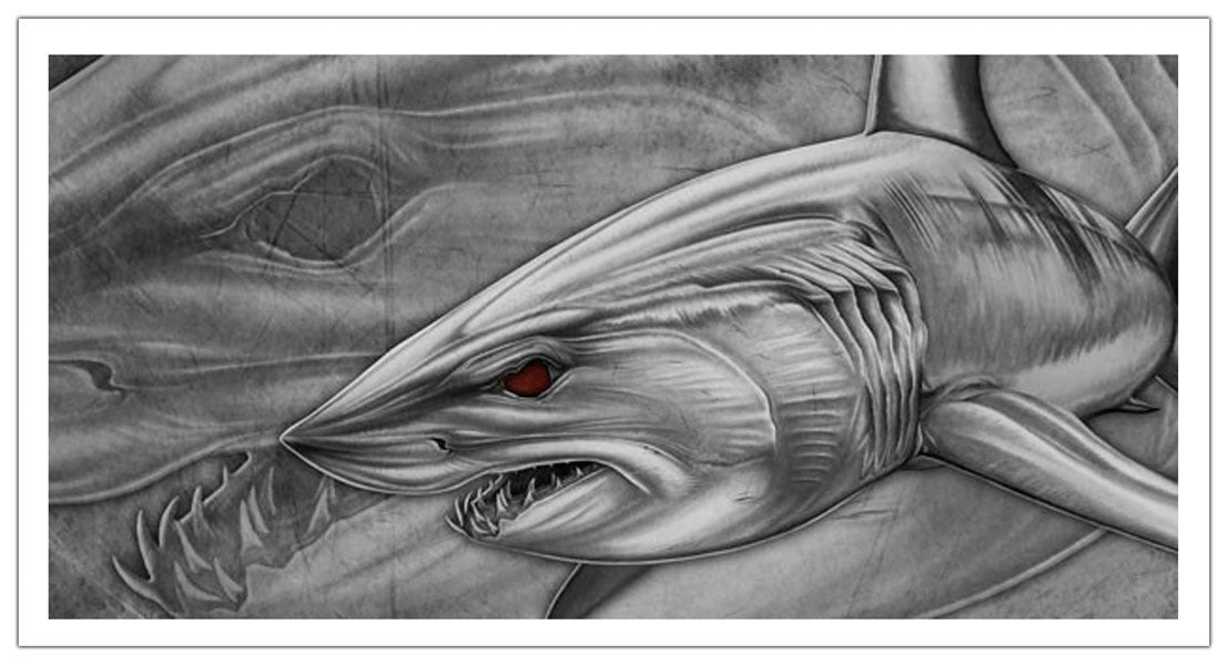 Mako Canvas Print, Measures 1200mm x 600mm plus outside white boarder