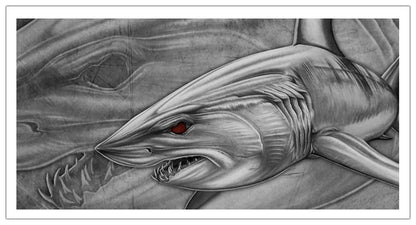 Mako Canvas Print, Measures 1200mm x 600mm plus outside white boarder