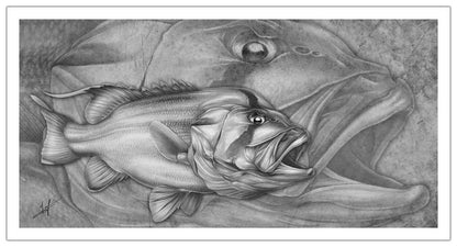 Dhufish Canvas Print, Measures 1200mm x 600mm plus outside white boarder