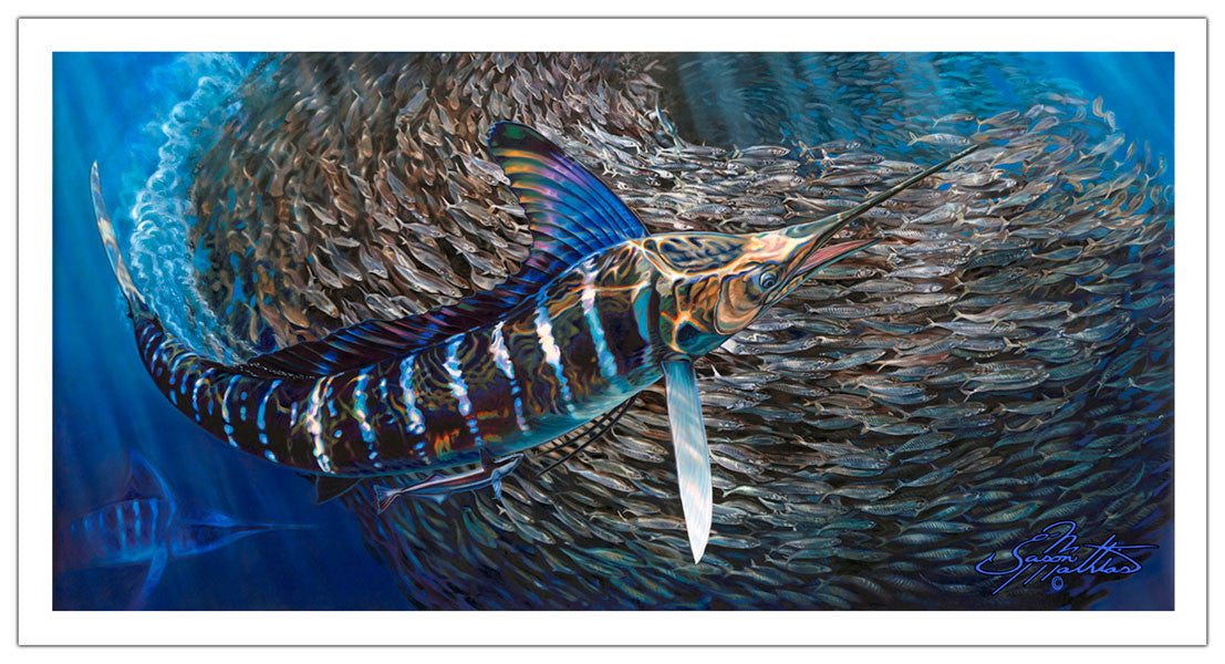 Jason Mathias - Striped Marlin Measures 1200mm x 598mm plus outside white boarder