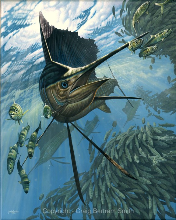 Craig Bertram Smith - Sails and Sardines, Measures 1200mm x 960mm plus outside white border