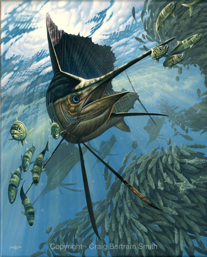 Craig Bertram Smith - Sails and Sardines, Measures 1200mm x 960mm plus outside white border