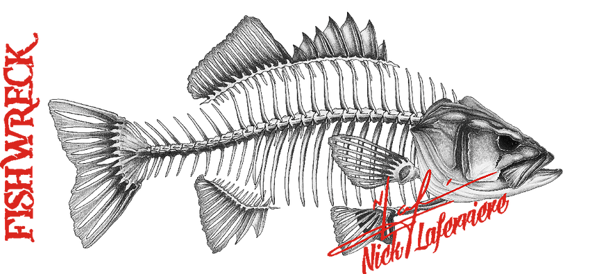 Decal - Bass Decal