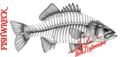 Decal - Bass Decal