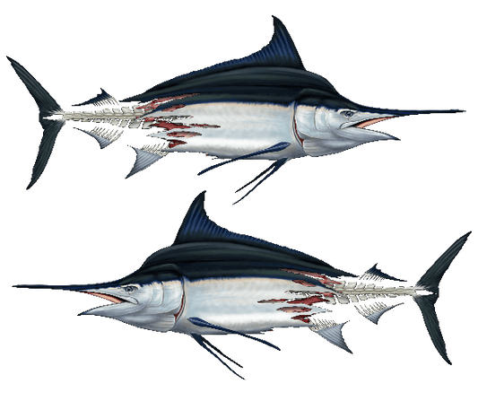 Decal - Marlin Decals