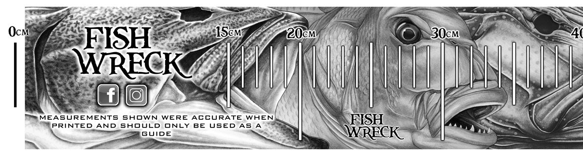 Fish Measuring Boat Decals 1230mm x 110mm - Fishwreck