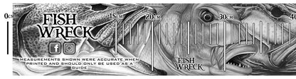 Fish Measuring Boat Decals 1230mm x 110mm