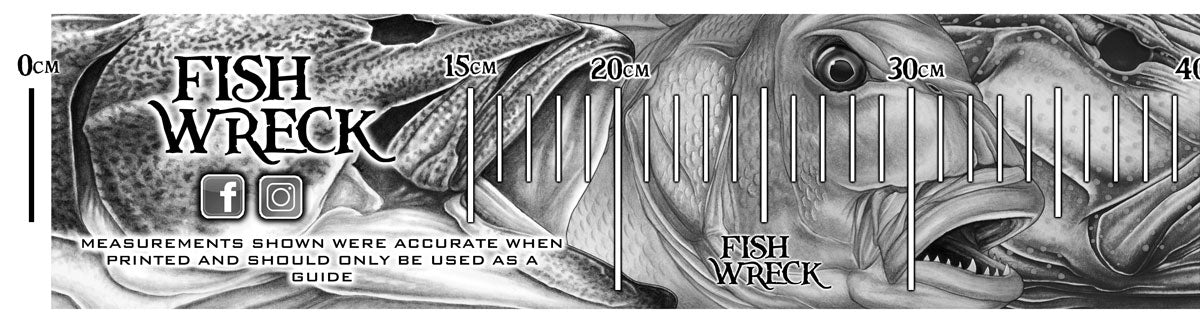 Fish Measuring Boat Decals 1230mm x 110mm