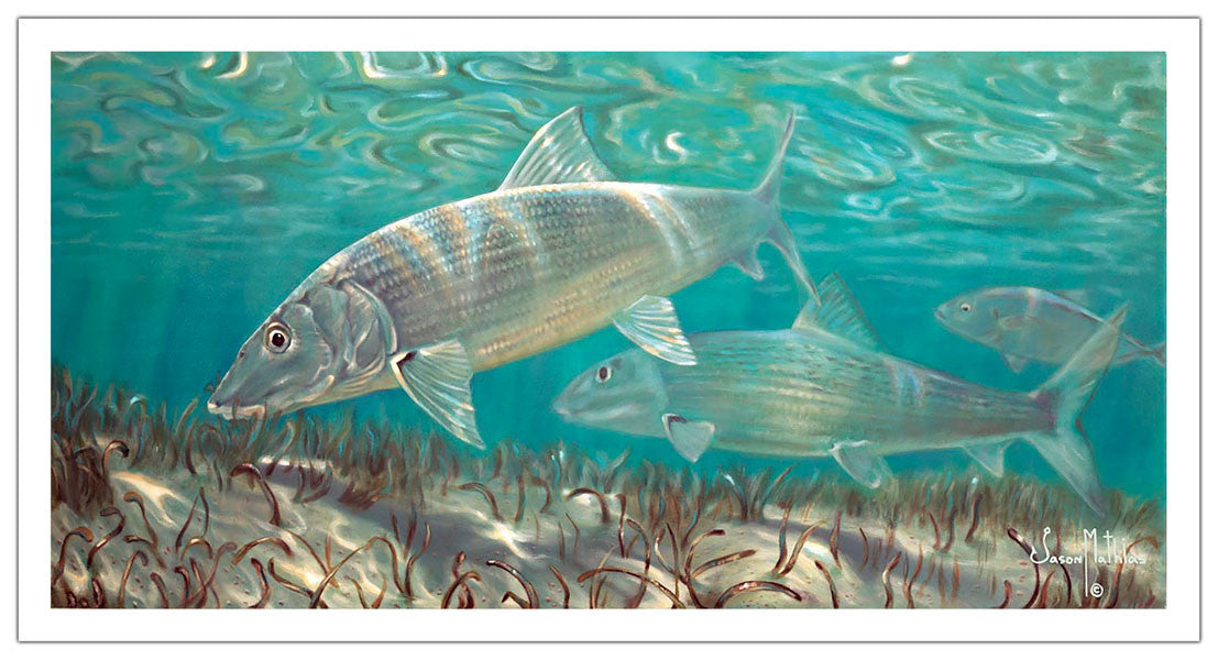 Jason Mathias - Bonefish Measures 1200mm x 600mm plus outside white boarder