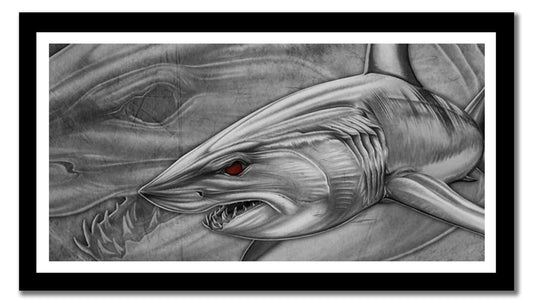 Mako Canvas Print, Measures 1200mm x 600mm plus outside white boarder