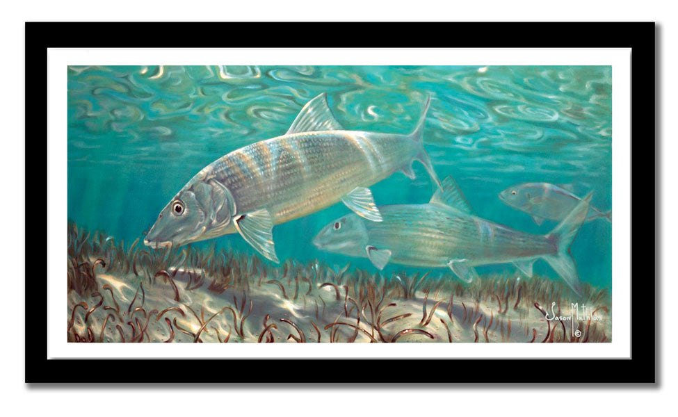 Jason Mathias - Bonefish Measures 1200mm x 600mm plus outside white boarder